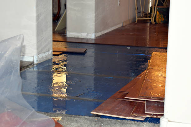 Professional Basement Flood Cleanup technician working in Hydetown, PA